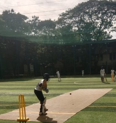 cricket